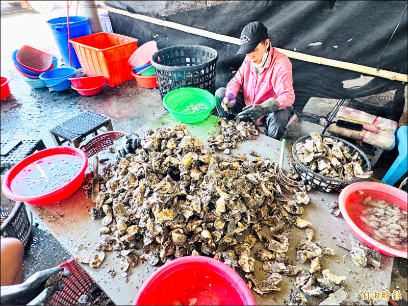 豪雨釀災 嘉縣牡蠣救助金每棚2.5萬
