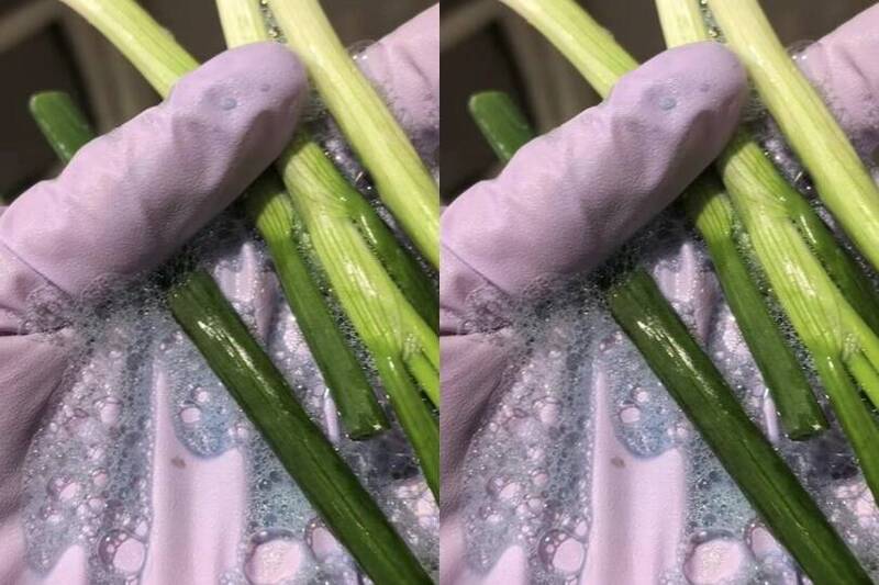 中國蔥洗出藍綠色水!網憂邊境檢查預算被藍白砍恐有食安危機