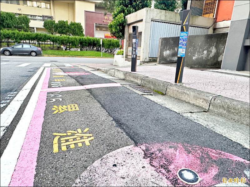 桃園2.2萬停車格 完成智慧化建置
