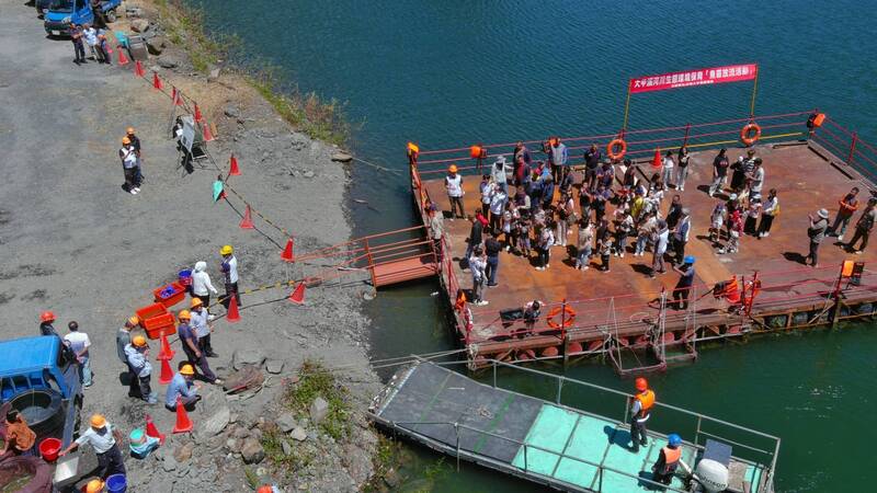 大甲溪發電廠維護水庫生態平衡 在德基水庫放流12000尾白鰱及黑鰱