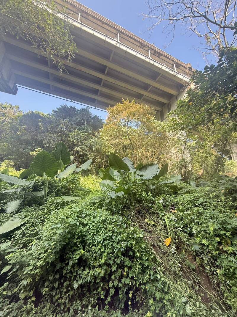 彰化芬園瑩光橋驚傳墜橋不治 男子躺臥橋下送醫不治