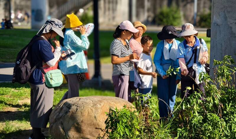 2026新北濕地藝術季10/3登場 邀民眾採種籽共創地景藝術