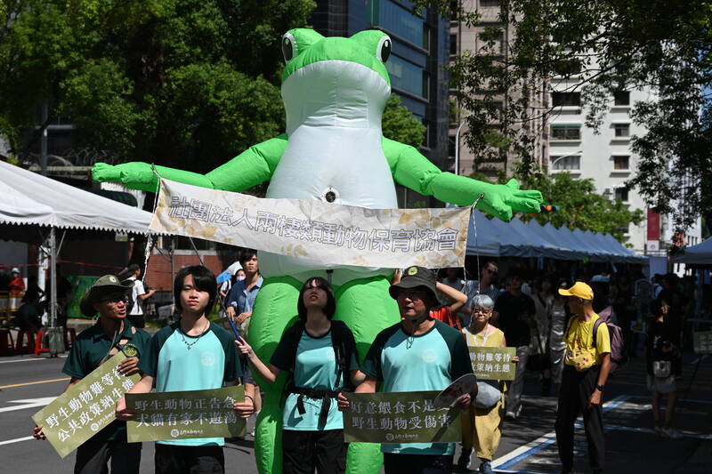 要求積極處理遊蕩犬貓、重視生物多樣性 3千人為野生動物而走