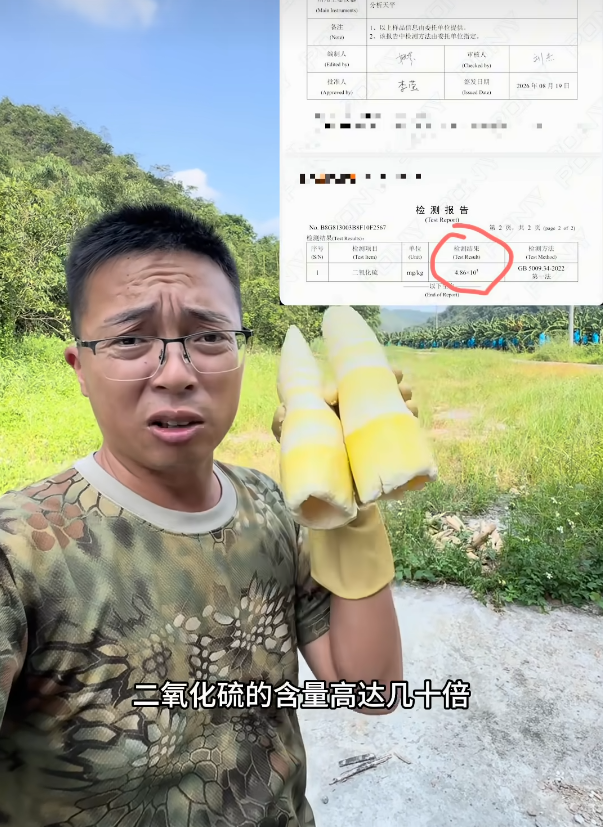 中國繼甲醛白菜後又有「硫磺竹筍」!網嘆:去哪能吃到安全蔬菜?