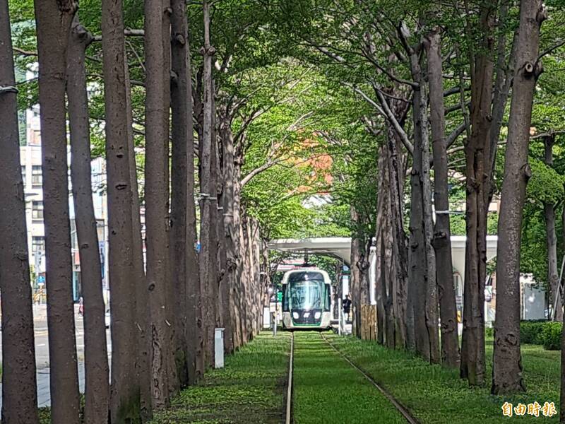 高雄輕軌兩隧道200樹裝傾斜儀 捷運局:樹「動」我知