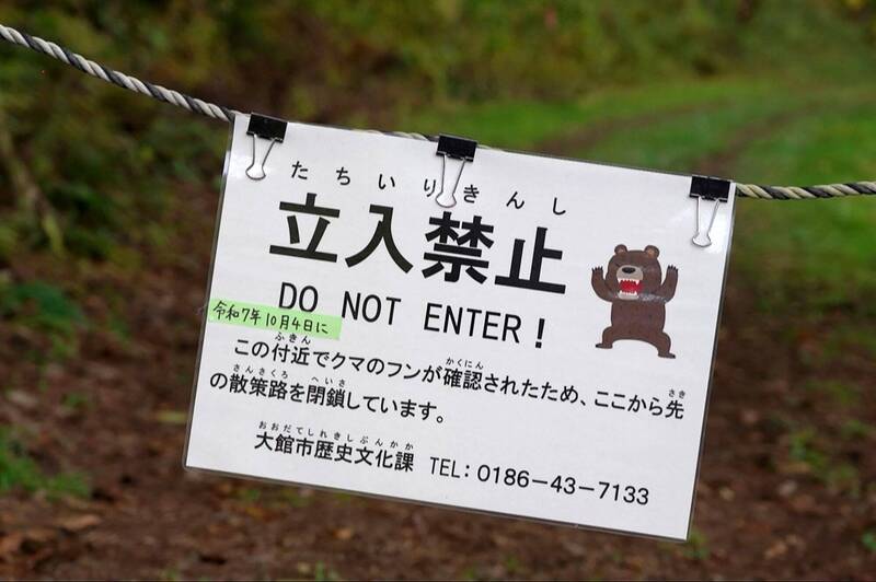 日本宮城縣熊隻橫行!爬上漁船後落水失蹤、另有列車撞上野熊