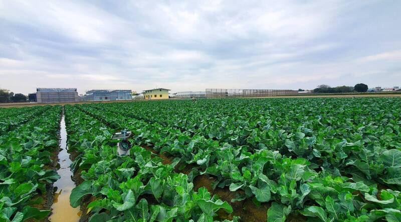 台中農改場發展精準灌溉 助農民栽種高麗菜、花椰菜省水又增產