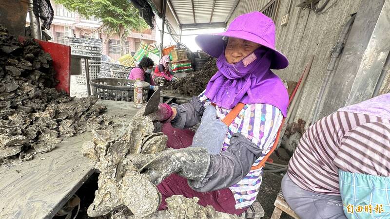 8月豪雨 中秋烤肉蛤蜊、牡蠣量少價漲