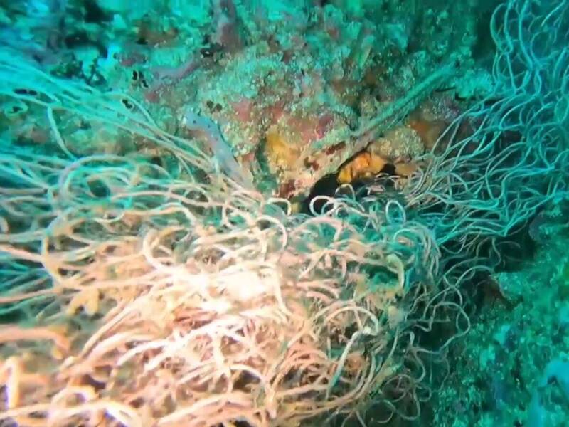 海中生物經過難逃魔掌!潛水業者曝:七美「死亡長城」綿延1公里