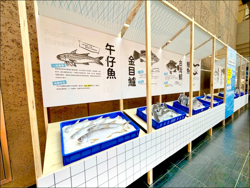 農業部攜手台鐵 國產水產品游進北車