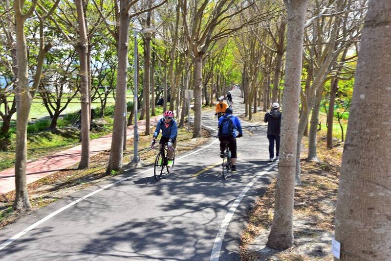 台中自行車專用道導入車牌辨識科技執法 3個月取締173件違規