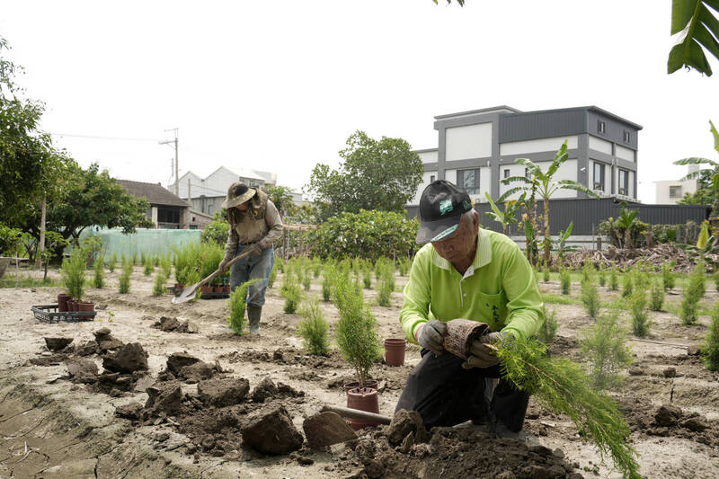 加入花蓮光復土地工工 每天20元認領1坪農地助穩定生計