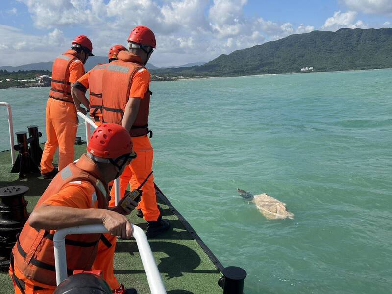 屏東興海外海綠蠵龜慘遭網具纏繞 海巡出擊解危原地野放