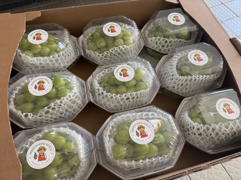 中秋加菜!三灣國中午餐 每人大嗑一整盒「麝香葡萄」