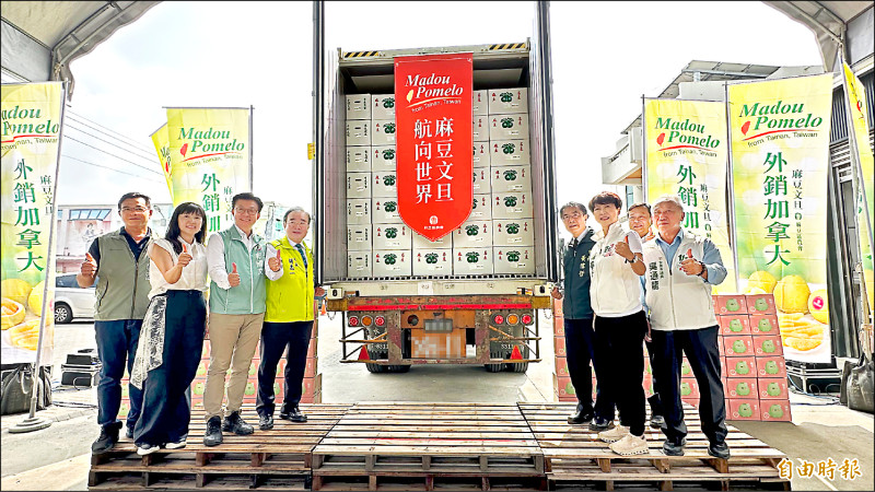 麻豆文旦再銷加拿大 第3櫃啟程