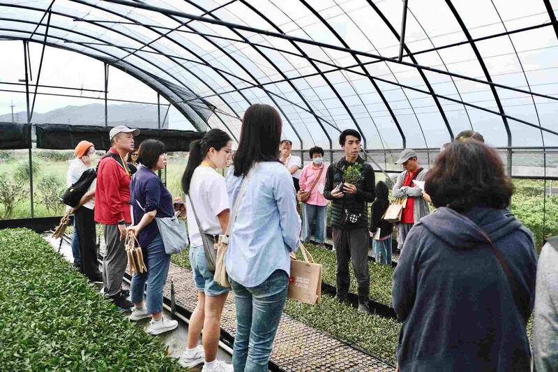 探秘粉紅溫室、手作苔球 「萬金杜鵑秋季一日遊」限百位即起報名