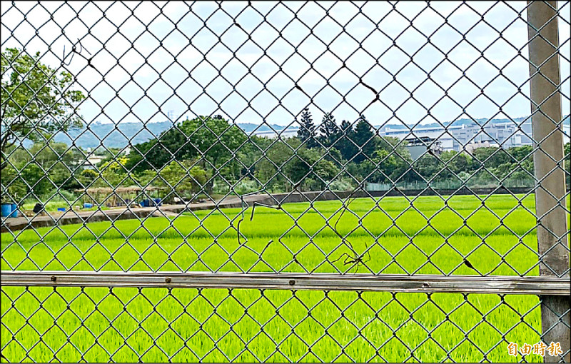 龍科三期開發啟動 地方憂建設跟不上
