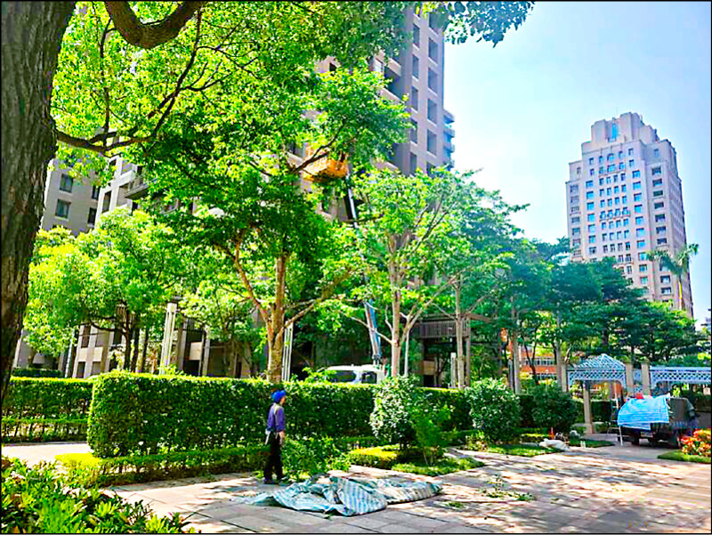 北市2年樹冠減13.7公頃 等於少1.3萬棵樹