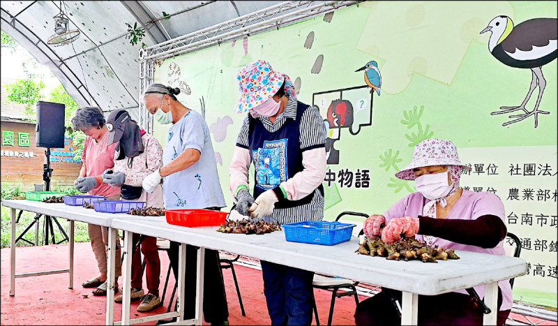 官田水雉教育園區生態季10/4登場 剝菱角賽報名