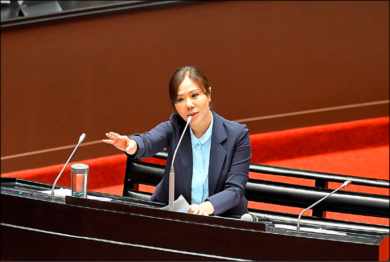 選情評估》藍主打民生經濟 催高投票率