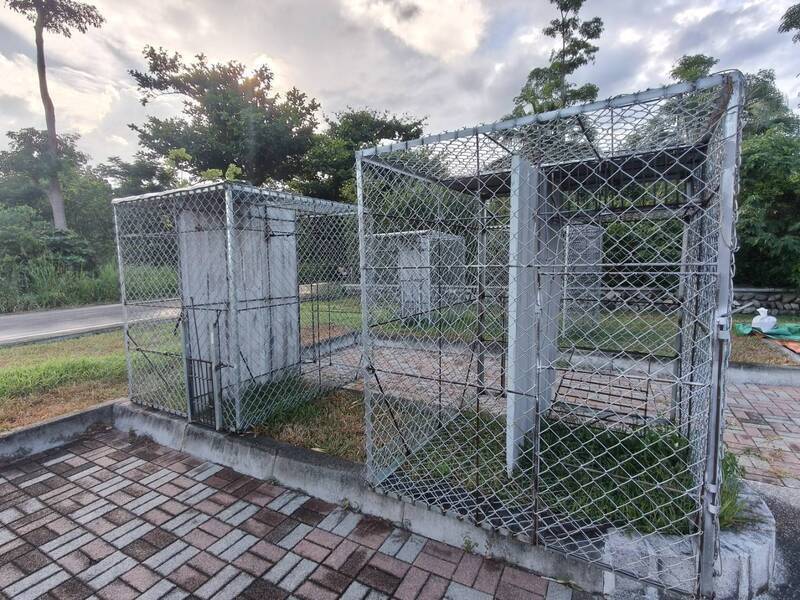 台東猴患嚴重!議員氣喊設「猴子學校」訓猴招攬觀光客