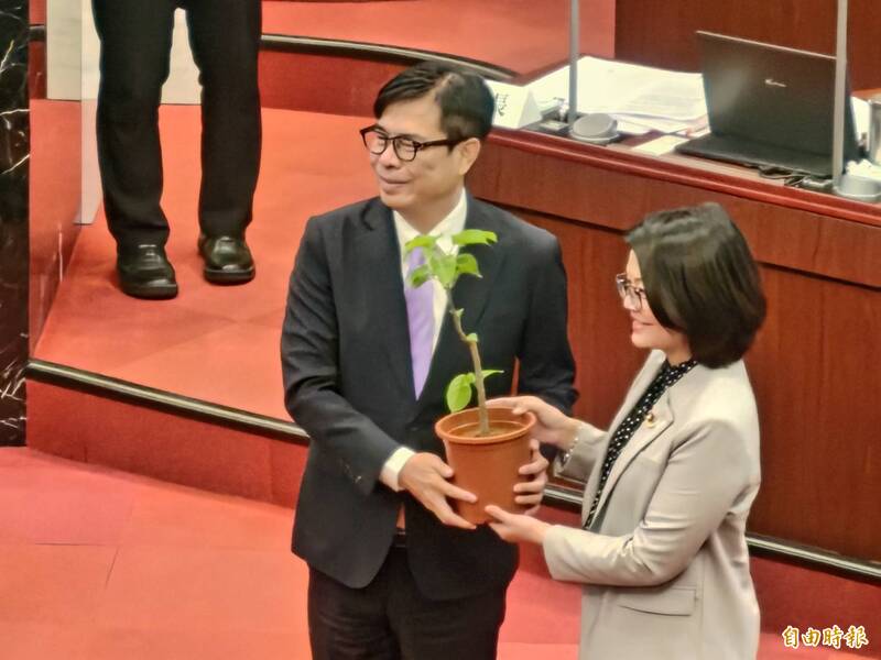 最後一回質詢陳其邁後送「茄冬樹苗」 湯詠瑜:盼扎根高雄到綠蔭台灣