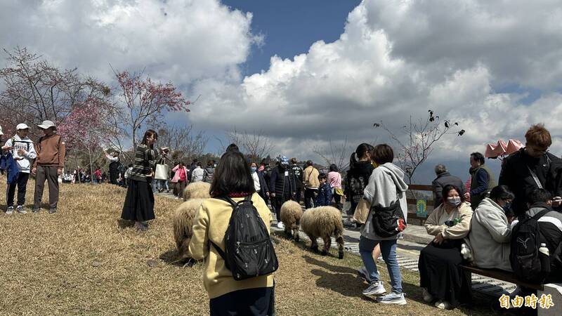 女友安排平日玩國旅!卻為了「這些事」與男友爭執