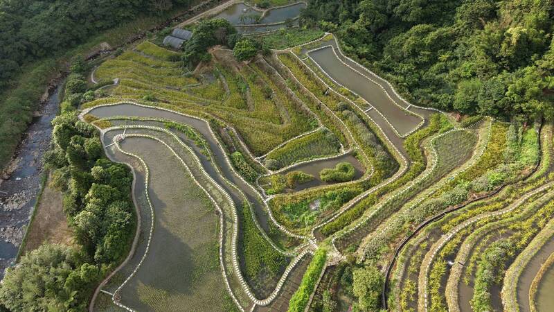 新北山林展演10/24登場 沉浸石門青山瀑布及嵩山梯田風光