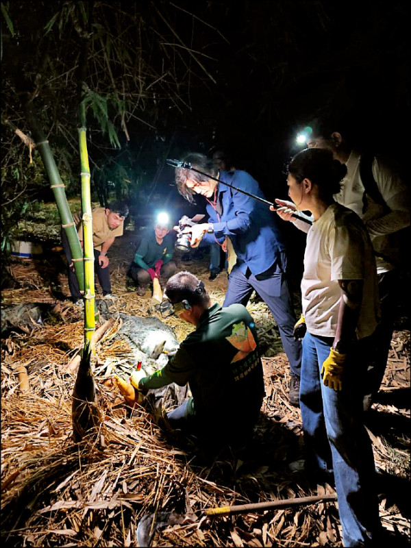生態給付獎勵農民 韓國電視台拍片取經