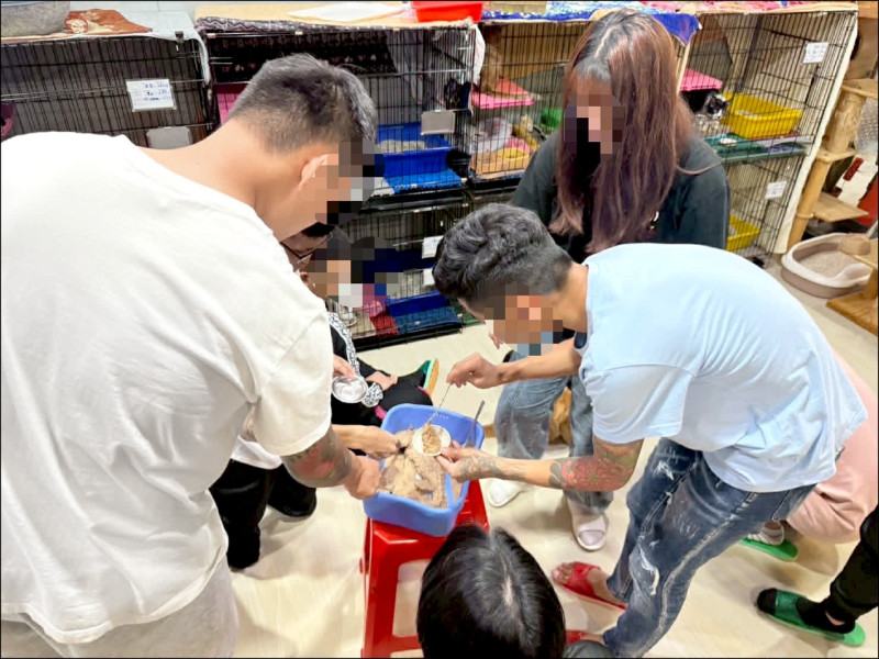 擴大預警介入 桃園高關懷少年增至1748人