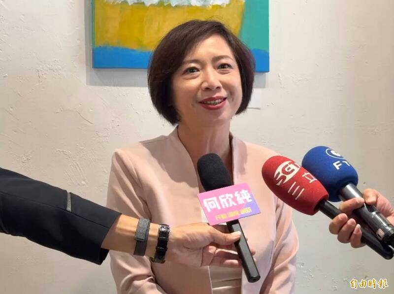 支持刪除明年度中市購物節預算? 何欣純:先了解市民期待是什麼