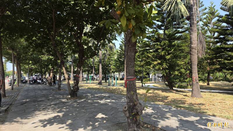 彰化伸港全新特色遊戲場動工 樹木移植惹議