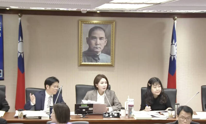 「國民年金法」修正草案出委員會 關鍵條文需黨團協商