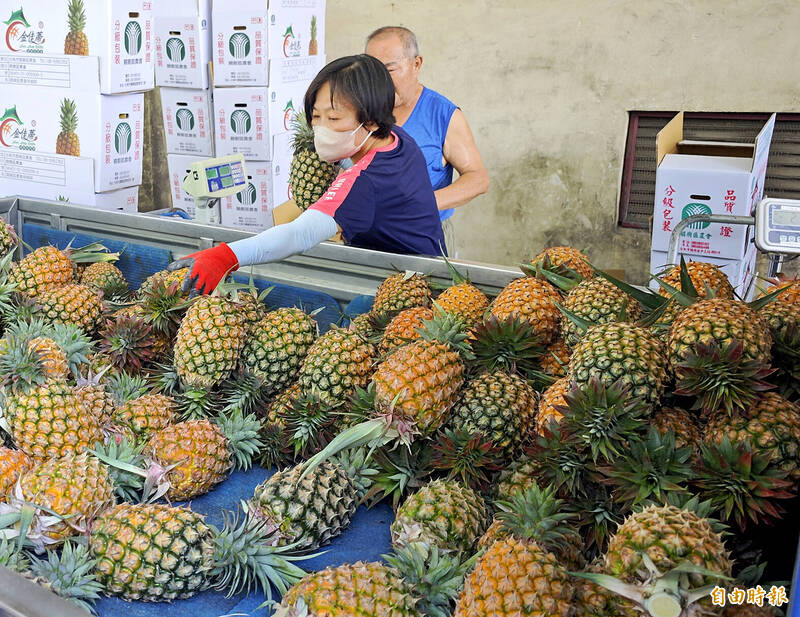 《TAIPEI TIMES》Pineapples likely to be exported to US next year: ministry