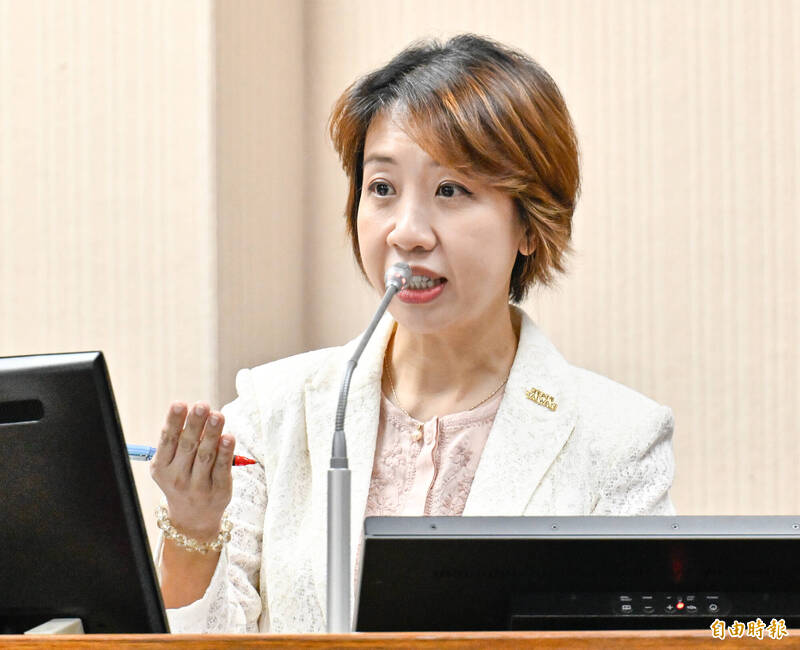 質疑徐佳青丈夫是民進黨駐美顧問 白委許忠信轟外交部:黨國不分