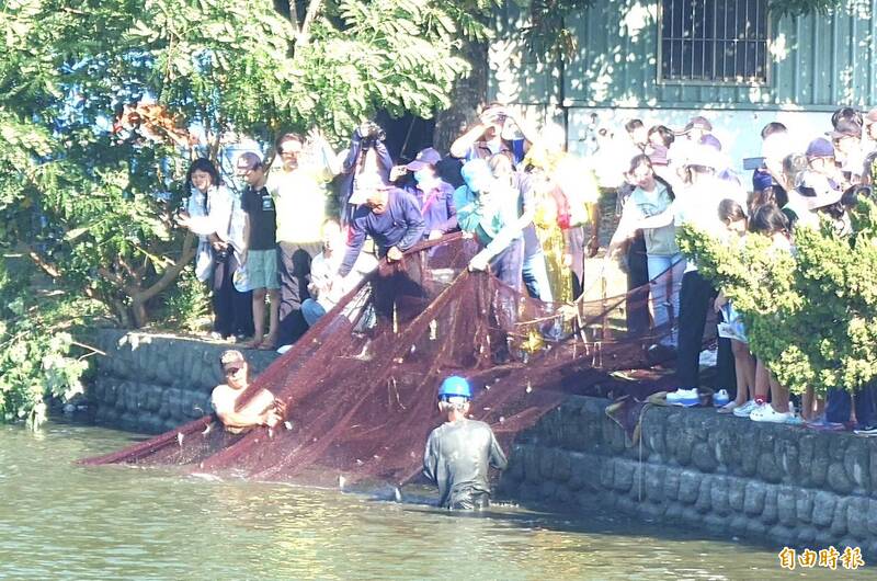 嘉義鹿草涸魚文化季 民眾牽罟捕魚重溫農村記憶