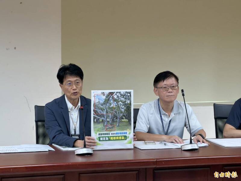 美崙公園李登輝植樹染褐根病遭移除 北市府:紀念碑將評估展示