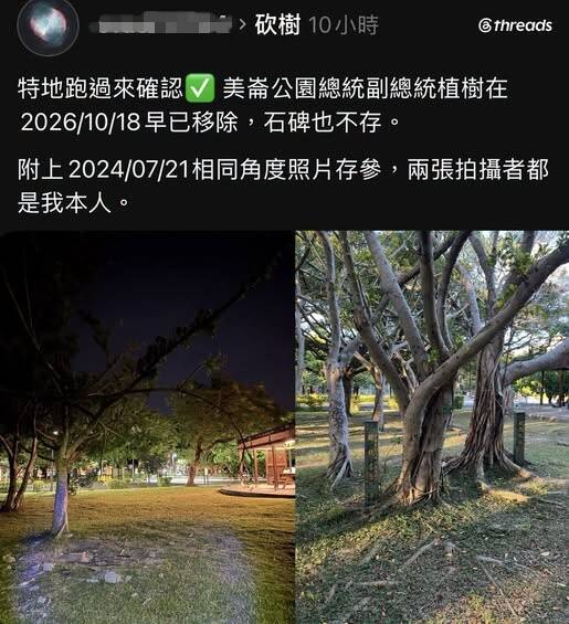 石碑也消失!美崙公園民主紀念樹遭砍 他點名蔣萬安:不要又推給廠商