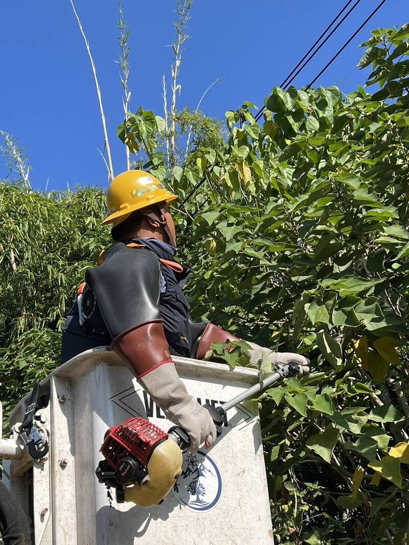 薔琵颱風逼近 台電新營區處盤點設備、修剪樹木