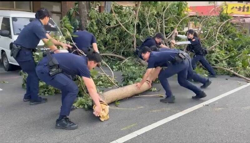 「薔琵」瞬間強風吹倒路樹!台中7警火速上陣 彎腰使勁搬移畫面曝