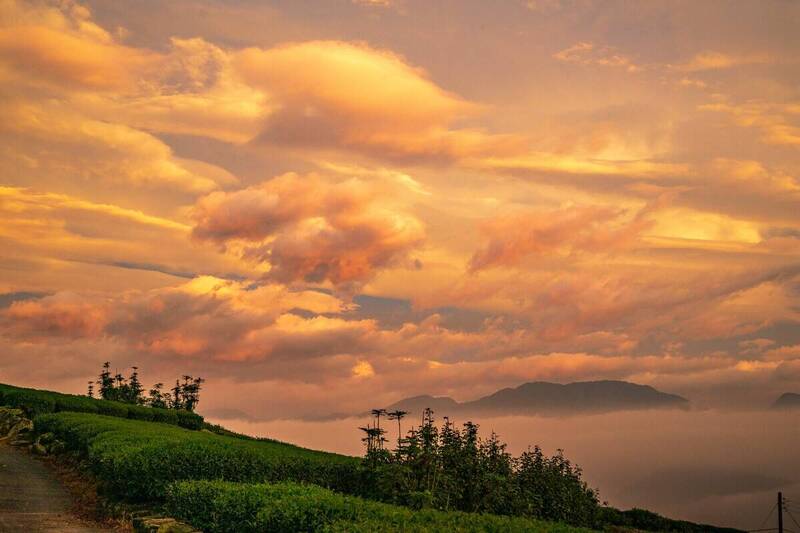 嘉義縣龍銀山步道薔琵颱風夕陽雲海火燒雲。（圖由黃源明提供）