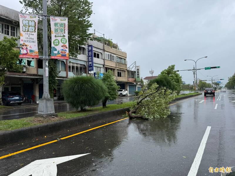 強風狂吹最高14級!蘇花北橫預警性封路 國道客運大停駛