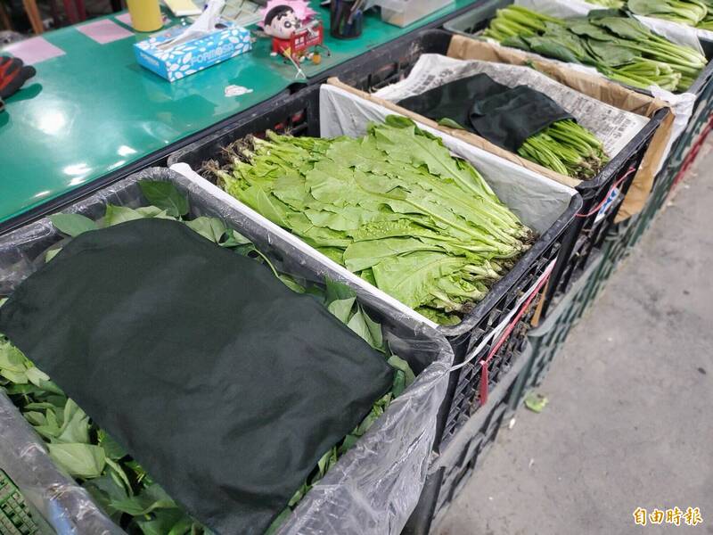 薔琵颱風來了!菜價先漲一波 空心菜、小白菜帶頭