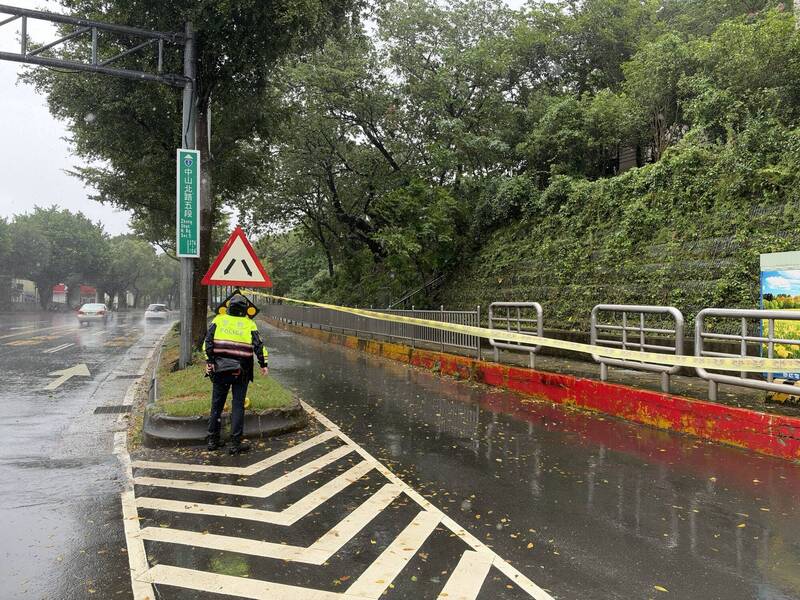 強風吹倒銘傳大學前路樹 士林警方緊急封路管制