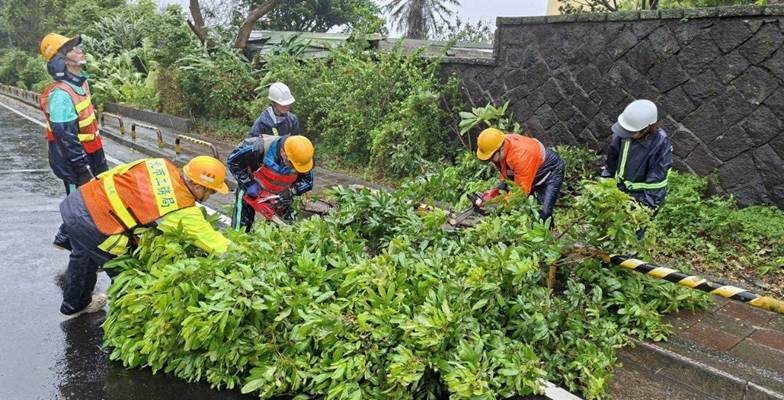 薔琵颱風襲北市！災情通報577件、6人受傷 路樹倒塌最多
