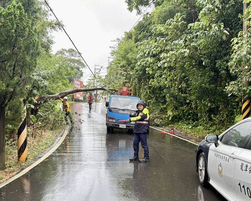 薔琵強風豪雨 龍潭愛國路、興隆路路樹倒塌幸未釀災