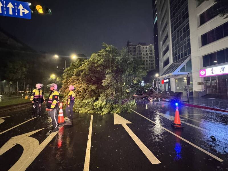 北市士林路樹倒塌壓車 3人驚險脫困
