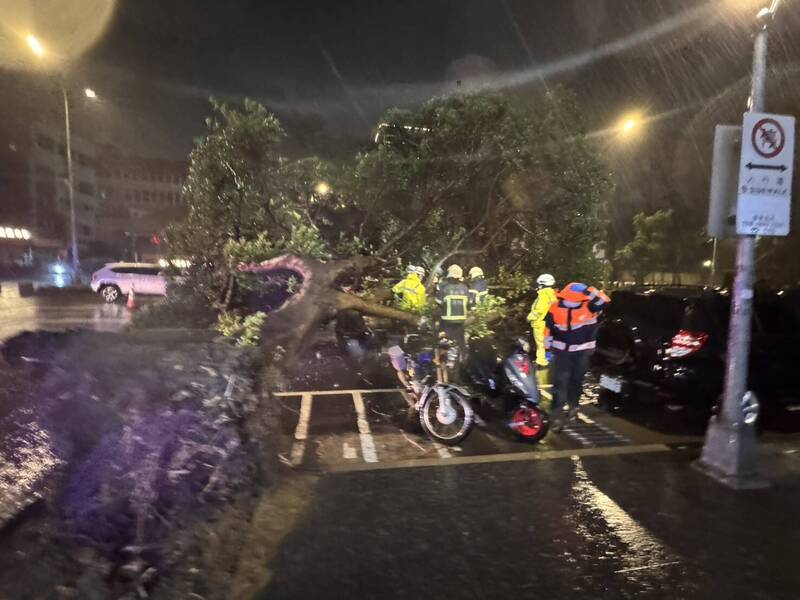 台北市承德路大树突倒塌压车。（记者刘庆侯翻摄）
