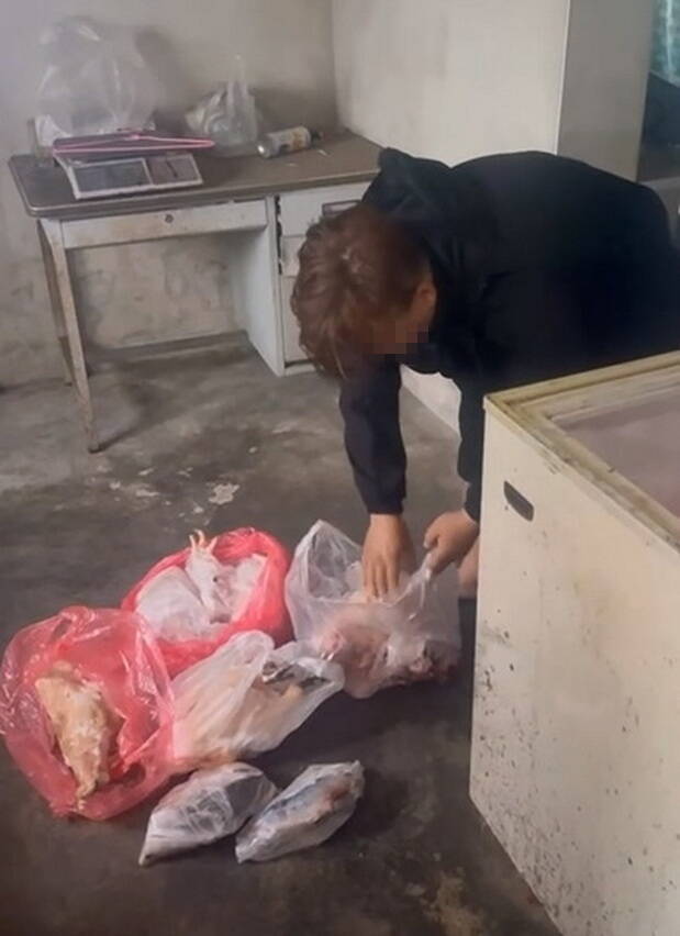 现场搜出大量来路不明的动物屠体，已被冰冻保存。（县议员吴韦达提供）