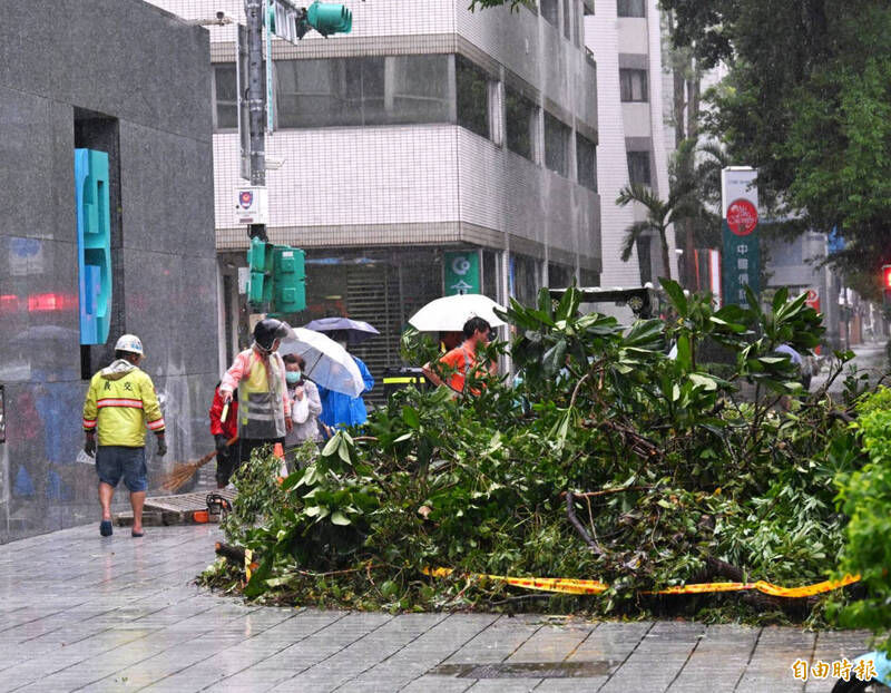 薔琵樹倒10分鐘搶修 柳采葳:正確施政方向不該被政治口水淹沒